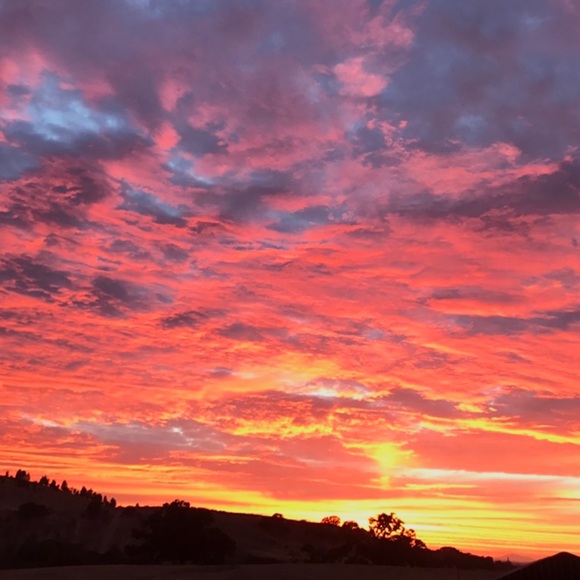 Meet your Posher, Stacey - Picture 1 of 1